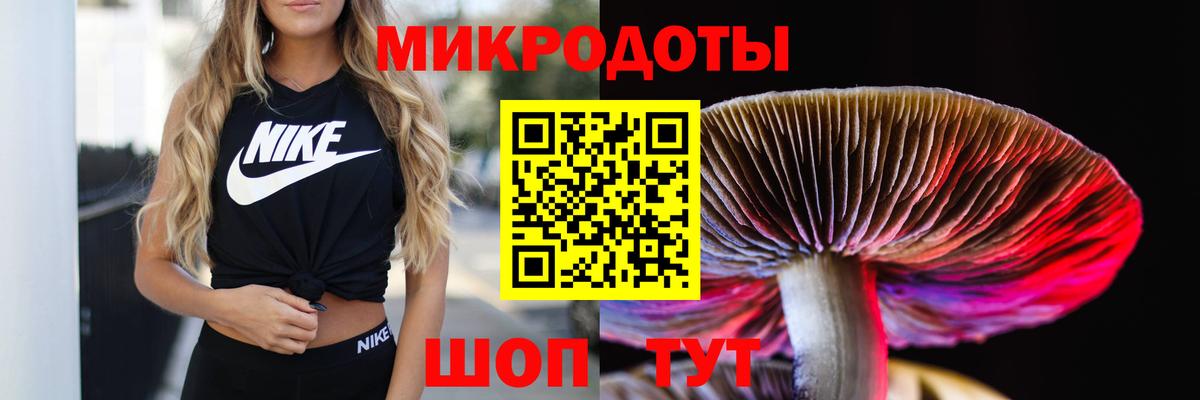 Воскресенск  Галлюциногенные грибы мухоморы  Псилоцибиновые грибы мицелий  Вход с VPN 